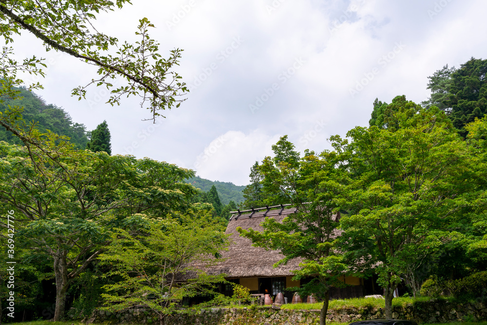 A traditional thatched roof Japanese house in Japan A traditional thatched roof Japanese house in Japan