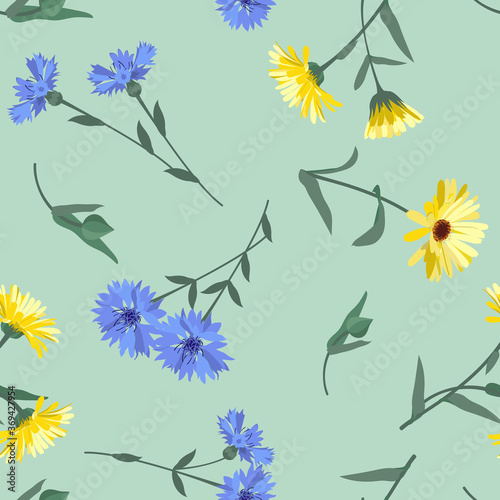 Seamless vector illustration with gerberas and cornflowers