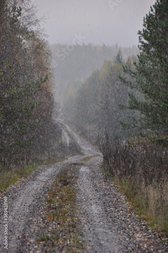 The first snow on the forest road. Autumn weather in the Perm region (Western Urals).