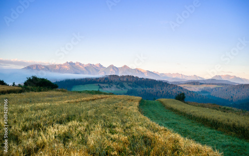 Krajobraz Pienin w oddali widoczne Tatry. Wczesny letni poranek w Pieninach