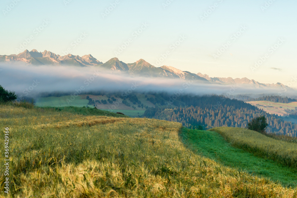 Krajobraz Pienin w oddali widoczne Tatry. Wczesny letni poranek w Pieninach Krajobraz Pienin w oddali widoczne Tatry. Wczesny letni poranek w Pieninach