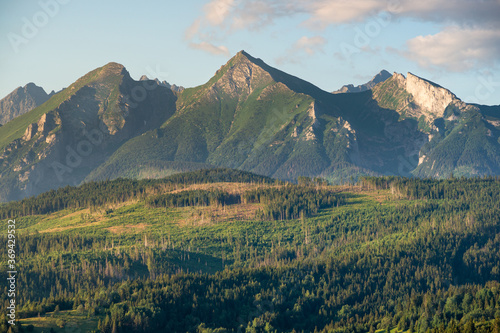 Fototapeta Naklejka Na Ścianę i Meble -  Szczyty Tatr, Widok z przełęczy nad Łapszanką