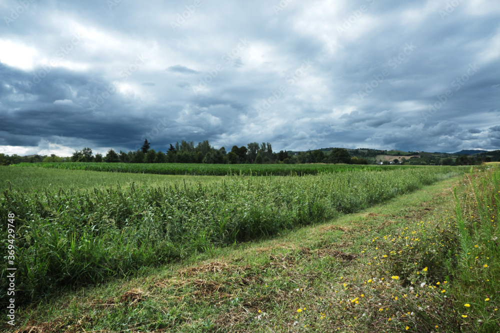 Campi coltivati e colline in lontananza sotto un cielo minaccioso e temporalesco di una calda giornata d’estate