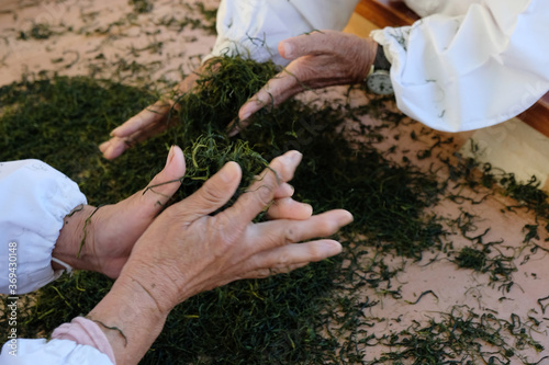Temomicha, a traditional artisanal technique. It is a process kneading and rolling the tea leaves by hand. This rolling by hand on a heated table has the effect of enhancing the aromas,  umami taste.