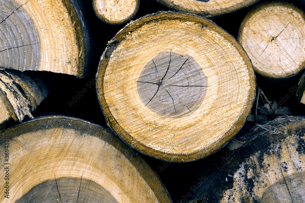 Pile of wood logs ready for winter close-up texture Pile of wood logs ready for winter close-up texture