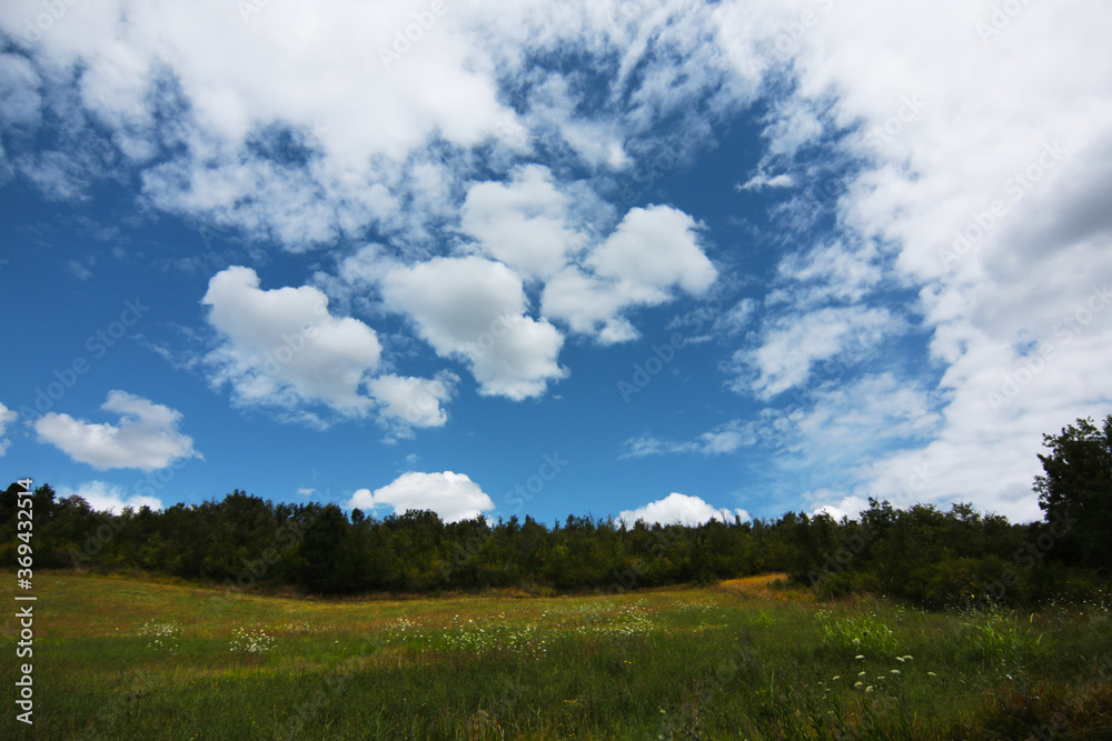Paesaggio collinare, alberi e campi con flora spontanea sotto un cielo azzurro con bianche nuvole 