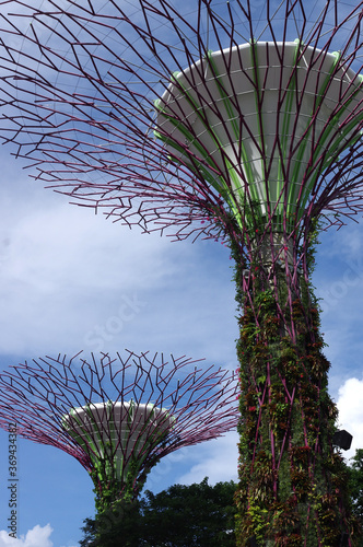 Arbres artificielles dans les Gardens by the bay, Singapour  © Gwenaelle.R
