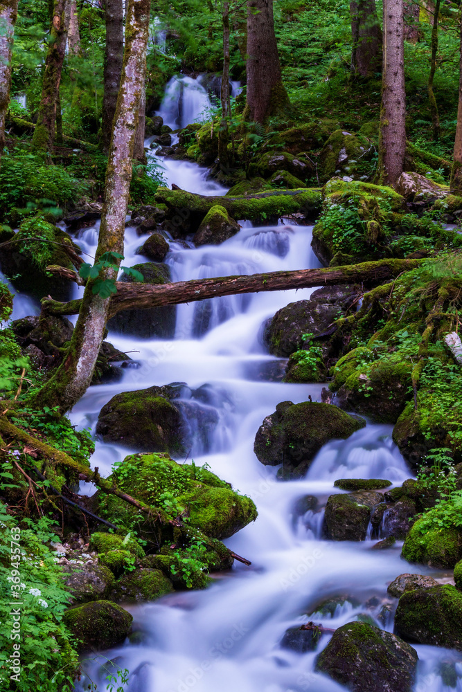 small waterfall in the forest