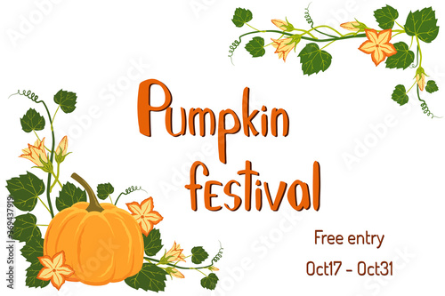 Pumpkin festival poster. Nice pumpkin plant with flowers and lettering for your design. Vector invitation for fest. Banner for fall harvest festival