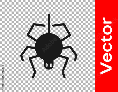 Black Spider icon isolated on transparent background. Happy Halloween party. Vector.
