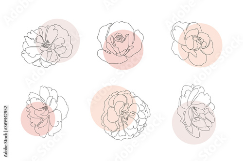 Continuous line flowers set with abstract circles. Trendy single line botanical illustration for print or web. Rose outline vector