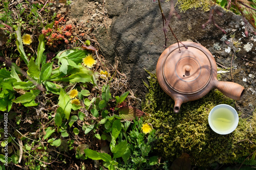 Beautiful brown teapot from the Japanese potter, Tokoname Japan, with the background of nature element and moss. photo