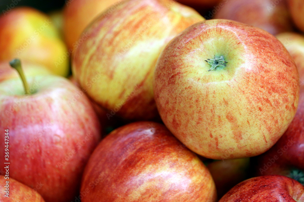 Red apples close up. Fresh harvest, ripe fruits on farm market