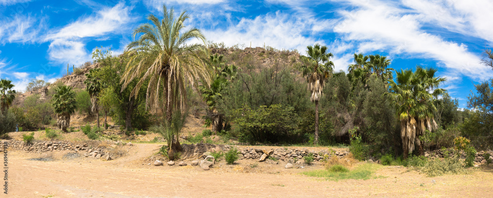 The landscape around Mission at San Javier, Baja California Sur, Mexico