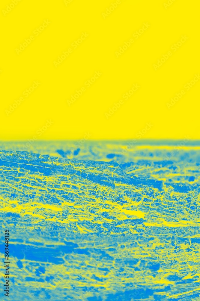 Fototapeta premium Vivid blue yellow background. Half yellow, half patchy blue. Copy space