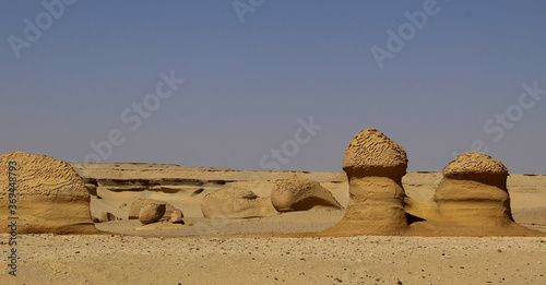 Object of fossil and desert in the exhibition display of wadi hitan Unison world heritage site at Al Fayoum, Egypt. photo