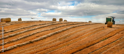 Tractor with bale machine for harvesting straw in the field and making large ...