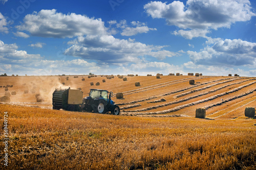 blue tractor forms bales on the hills of straw field , stork birds and beauti...
