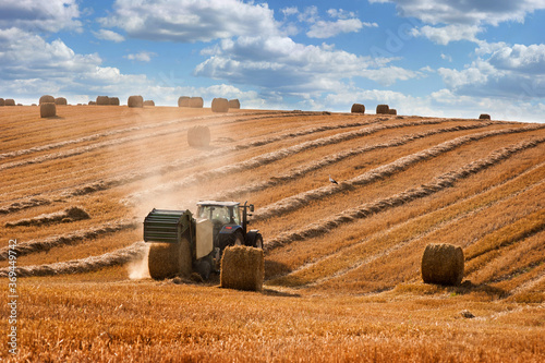 a tractor forms bales on the hills of straw field , stork birds