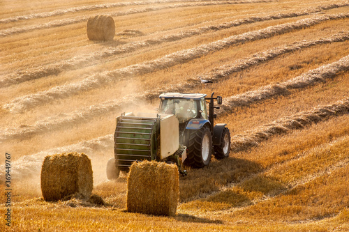 a tractor forms bales on the hills of straw field , stork birds