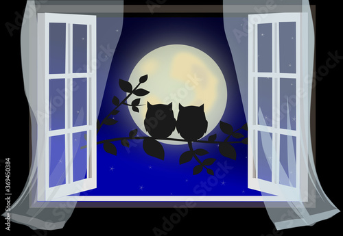 silhouette of owls against the moon and night sky, view from the window