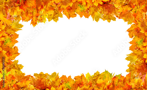 autumn leaves frame and branches isolated on white background