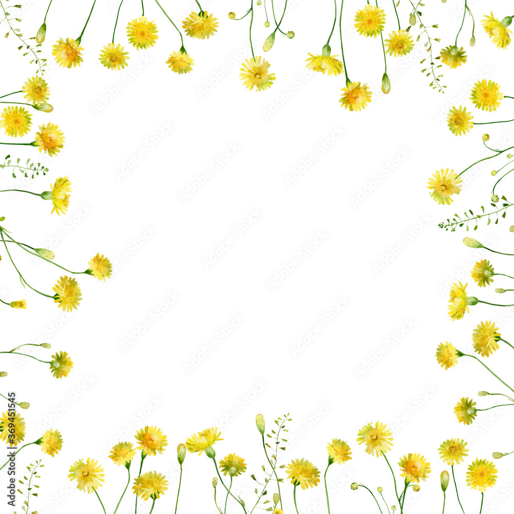 Floral frame of yellow wild flowers on white background