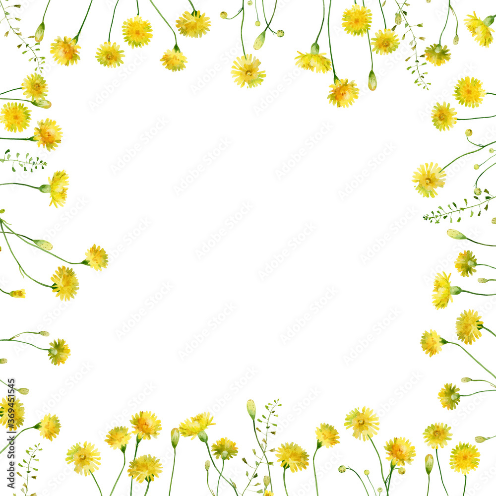 Floral frame of yellow wild flowers on white background Floral frame of yellow wild flowers on white background