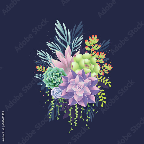 Colorful succulent bouquet on dark background. 