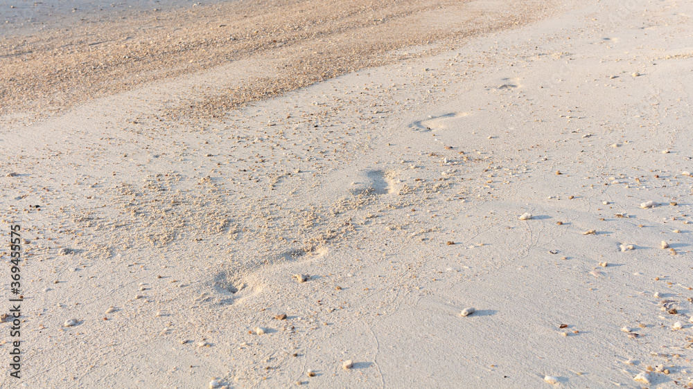Footprints on the white sand of tropical beach at sunrise. Koh Phangan island, Thailand. Background.