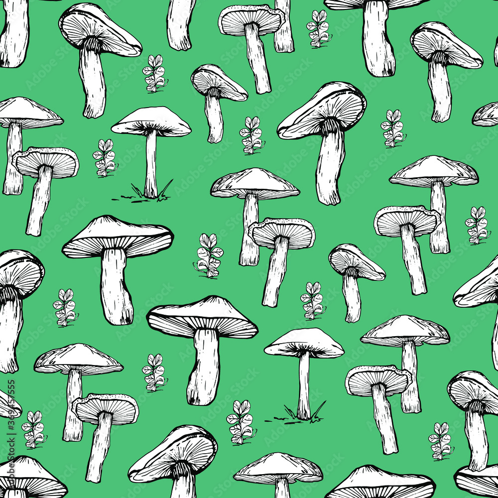 Mushroom pattern. Handmade graphics. Background for children and adults. Edible mushrooms and toadstools. Healthy food illustration. Autumn forest plants, mushroom. sketches for textiles, wallpaper, c Mushroom pattern. Handmade graphics. Background for children and adults. Edible mushrooms and toadstools. Healthy food illustration. Autumn forest plants, mushroom. sketches for textiles, wallpaper, c