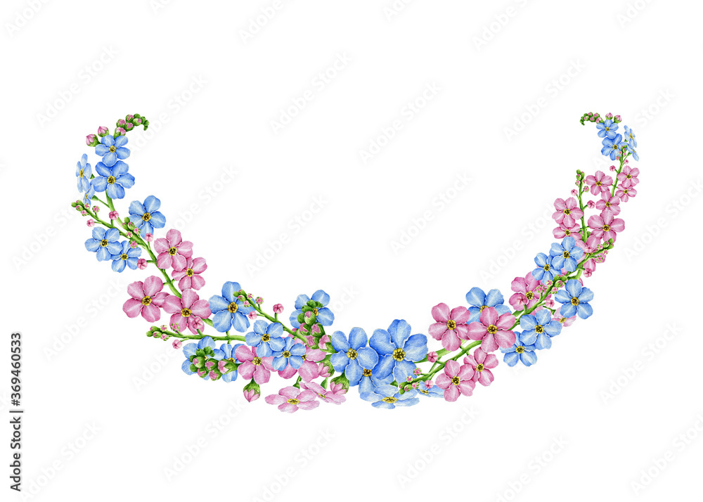 Forget-me-not arrangement of blue and pink flowers watercolor illustration. Hand drawn myosotis meadow herb botanical border. Tender spring romantic blooming flowers with buds on white background Forget-me-not arrangement of blue and pink flowers watercolor illustration. Hand drawn myosotis meadow herb botanical border. Tender spring romantic blooming flowers with buds on white background