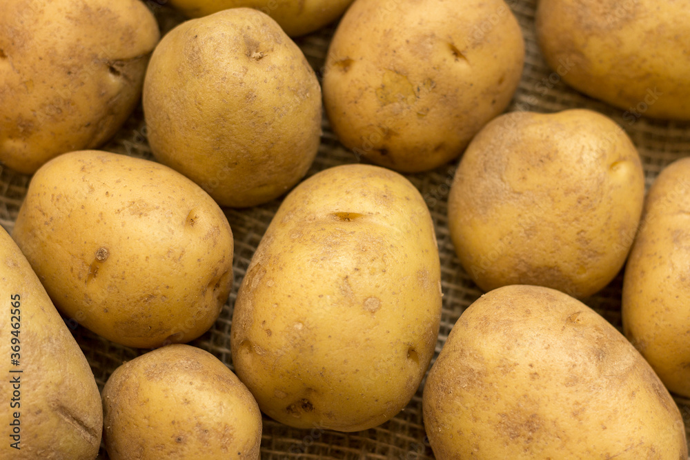 Tubers of young potatoes of a new crop lying on a table covered with burlap. Tubers of young potatoes of a new crop lying on a table covered with burlap.