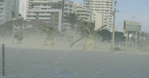 Ocean Foam:Blankets of sea foam cover the streets of Cape Town along the Sea Point area. Palm tree trunks are completely covered in the sea foam as the gale force winds blow. Beige residential apartme photo