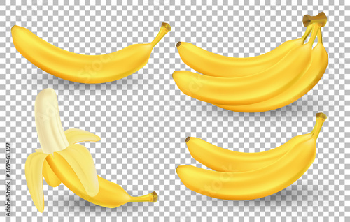 Realistic set of bananas isolated on transparent background. Bunches of fresh yellow banana fruits. Tropical fruits vector illustration