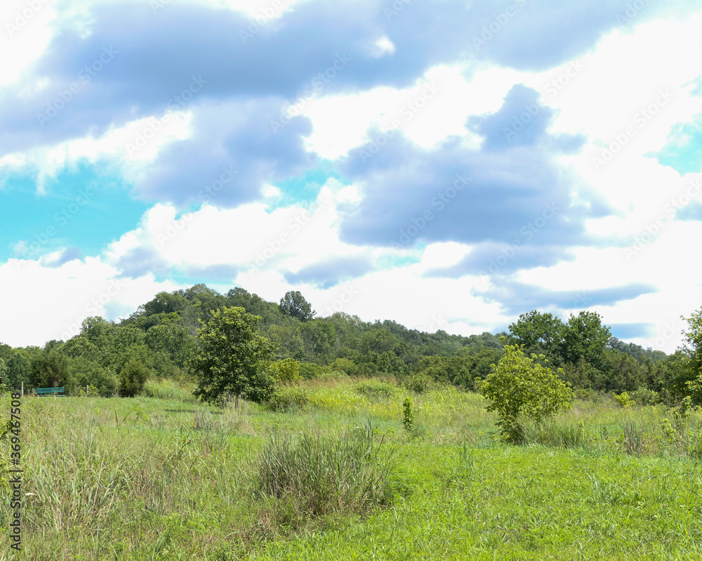 landscape with blue sky and clouds