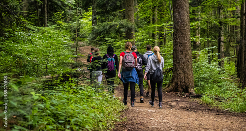 Hiking group of people in a forest
