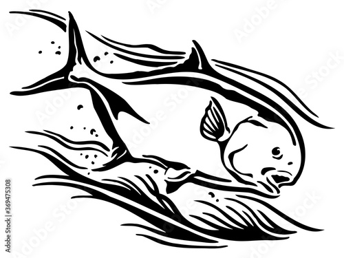 Permit fish
