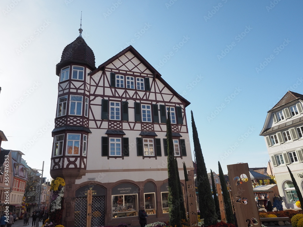 Fototapeta premium Kreisstadt Lahr im Schwarzwald - Chrysanthema