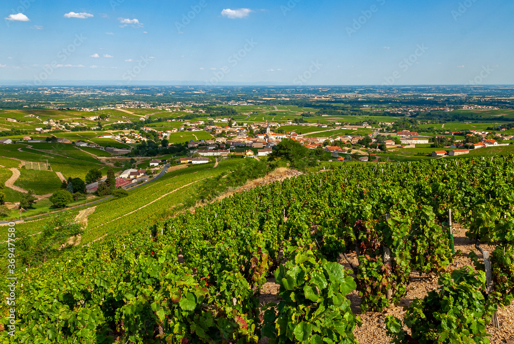 Paysage du vignoble du Beaujolais autour du village de Fleurie dans le département du Rhône en France