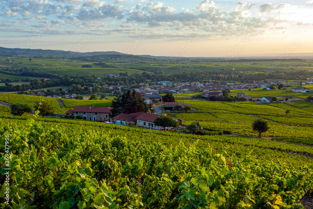 Le village de Saint-Lager dans le vignoble du Beaujolais dans le département du Rhône en France
