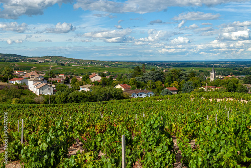 Le village de Villié-Morgon dans le vignoble du Beaujolais dans le département du Rhône en France