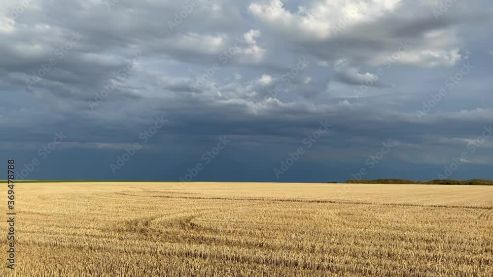 On the empty field after harvesting in sunny day before storm. On the empty field after harvesting in sunny day before storm.
