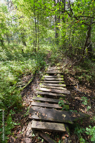 Empty abandoned footbridge goes through dark forest