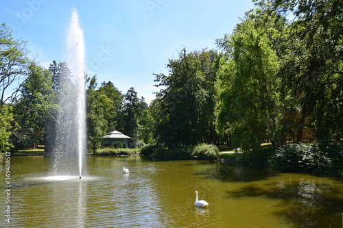 Teich mit Wasserfontäne im Kurpark von Bad Wildungen/Reinhardshausen