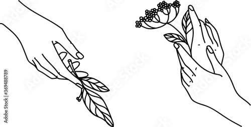 Delicate female hand gestures