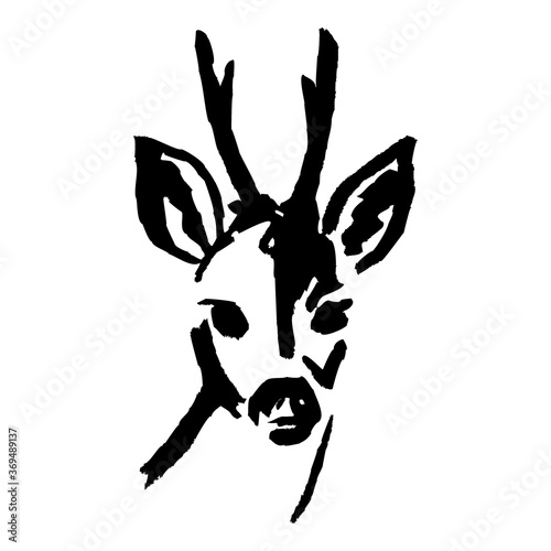 Rehbock