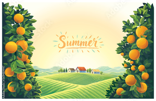 Rural landscape with villages and orchard with oranges branches in the foreground.