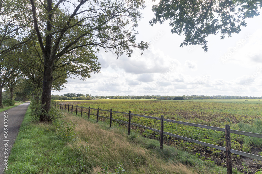 A Field near the town of Schoonoord, The Netherlands A Field near the town of Schoonoord, The Netherlands