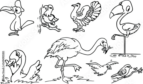 vector drawing cartoon birds set